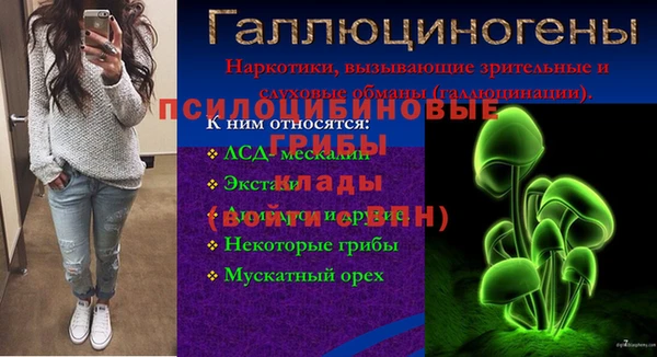 винт Алексин