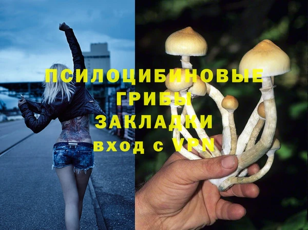 винт Алексин