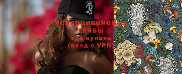 соль ск Алексеевка
