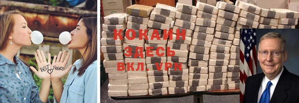 гидропоника Алзамай