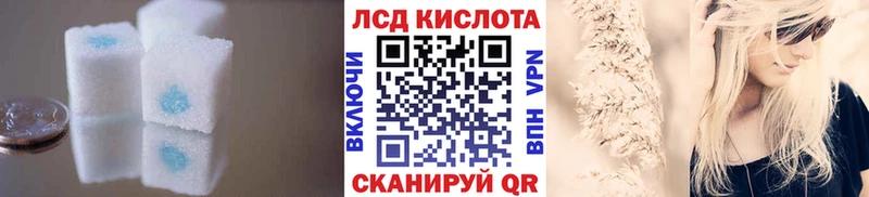 купить закладку  Мураши  LSD-25 экстази кислота 
