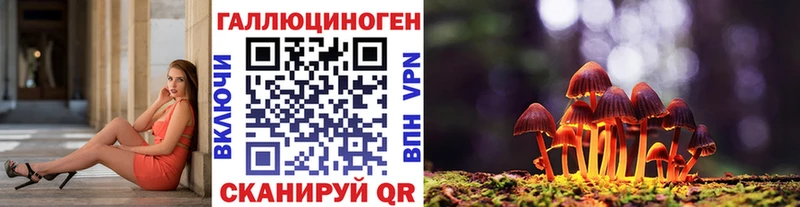 Галлюциногенные грибы Psilocybe  Мураши 